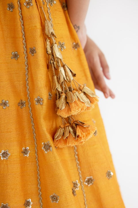 Ochre Yellow Lehenga Paired with Blouse and Cream Dupatta