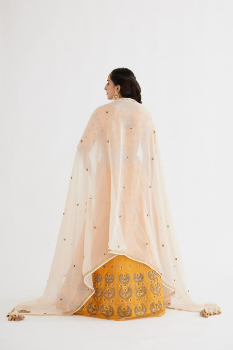 Ochre Yellow Lehenga Paired with Blouse and Cream Dupatta