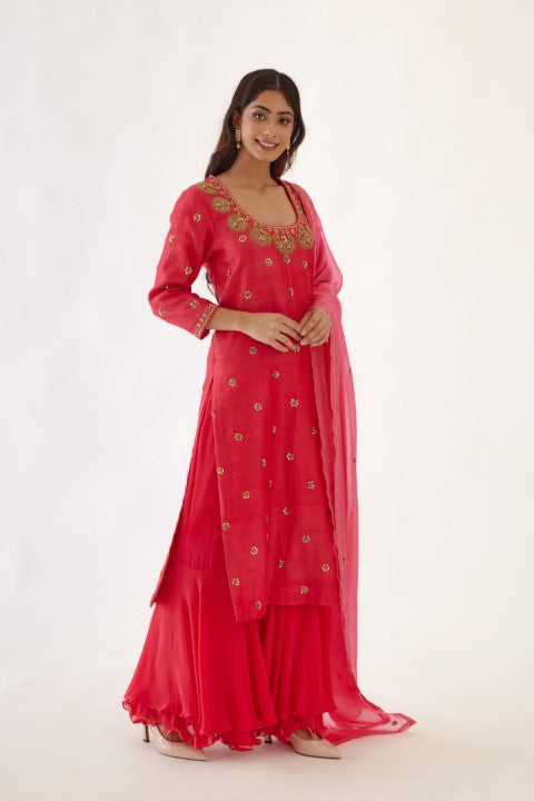 Rani Pink Sharara Set