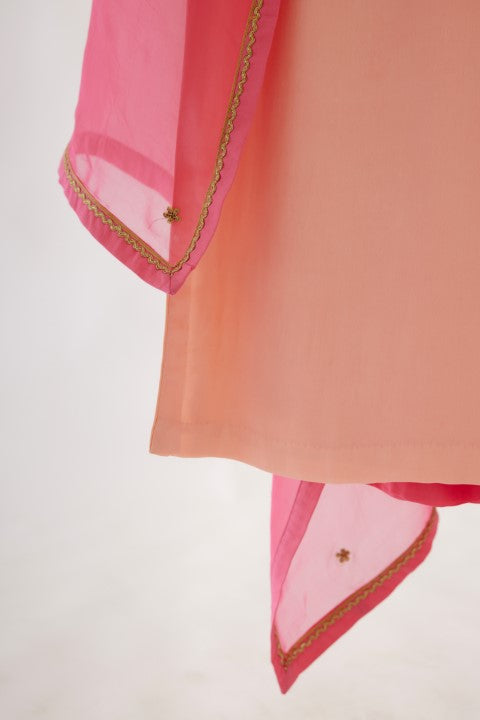 Salmon Pink and Rani Pink Kurta Set