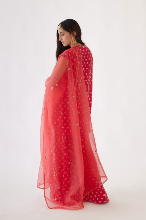 Rani Pink Bandani Print Sharara Set
