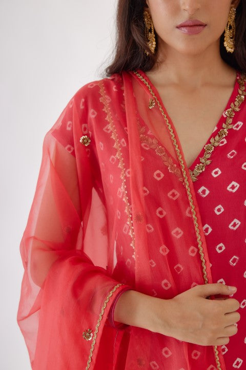 Rani Pink Bandani Print Sharara Set