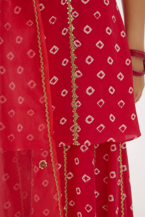 Rani Pink Bandani Print Sharara Set