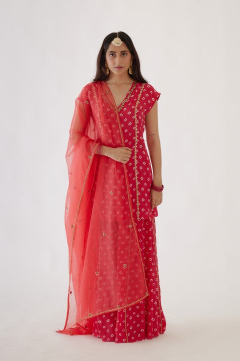 Rani Pink Bandani Print Sharara Set