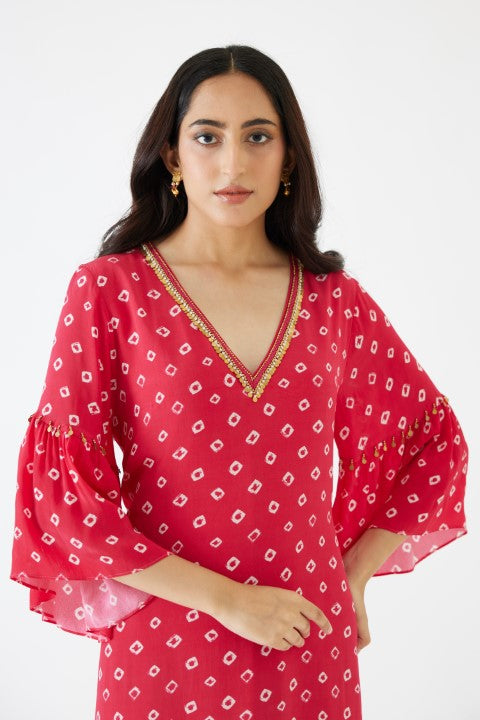 Rani Pink Bandani Print V-Neck Dress