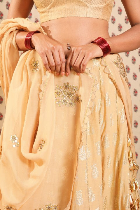 SAND BROWN RAW SILK BRALETTE PAIRED WITH COTTON SILK LEHENGA AND ORGANZA DUPATTA.