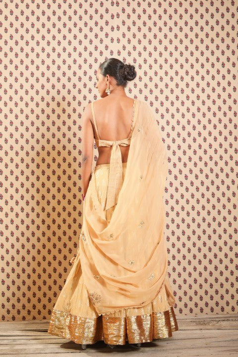 SAND BROWN RAW SILK BRALETTE PAIRED WITH COTTON SILK LEHENGA AND ORGANZA DUPATTA.