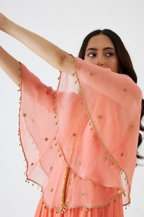 Light Peach Dress and Embroidered Cape